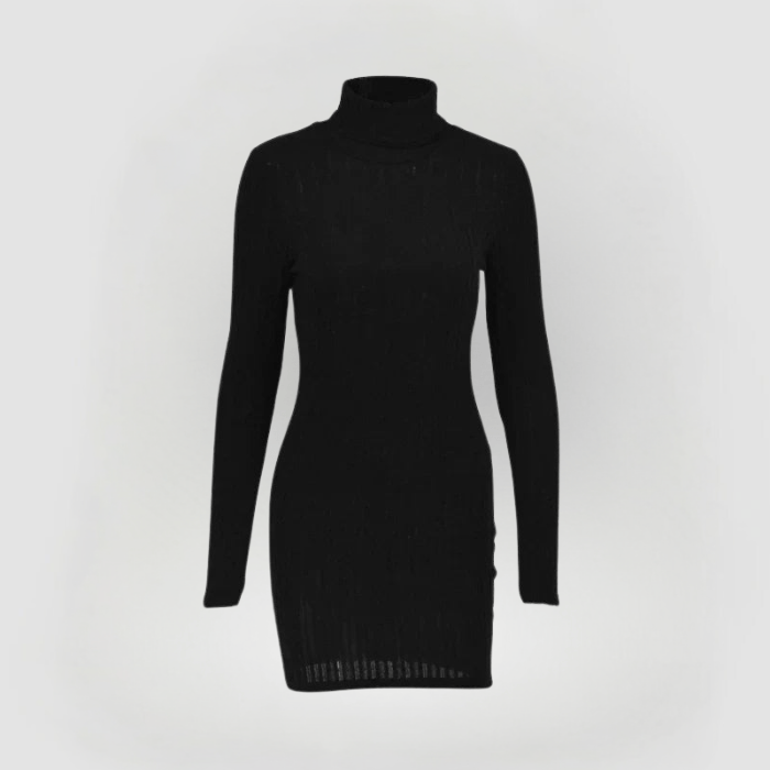 Turtleneck Knit Dress – Bodycon Fit – Sleek Winter Staple